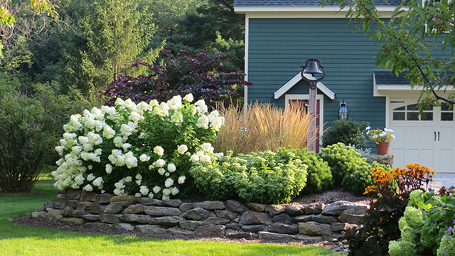 Landscape Development